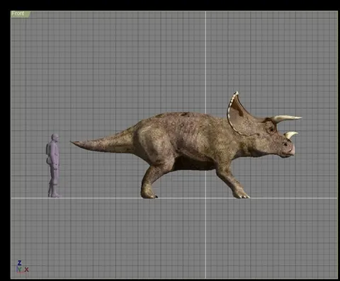 triceratops3