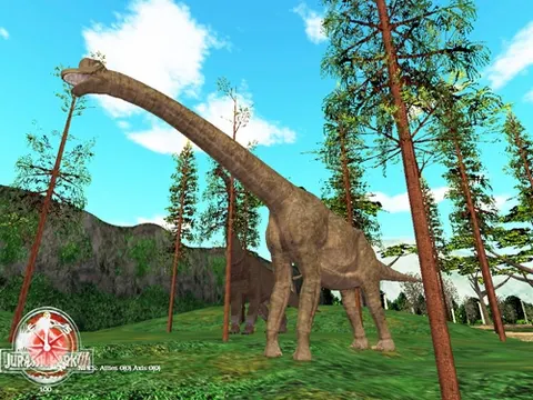 JP5