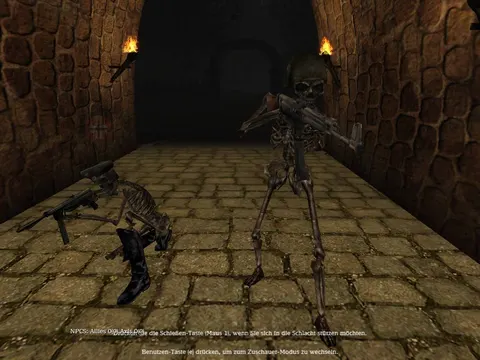 skel_krauts