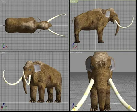 Ein Mammut